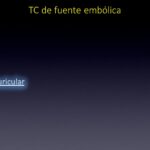 Diapositiva11