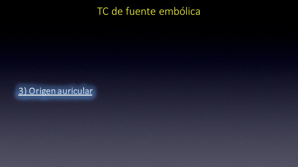 Diapositiva11