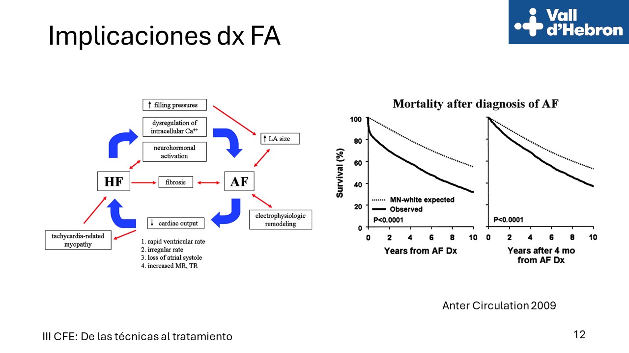 Diapositiva12