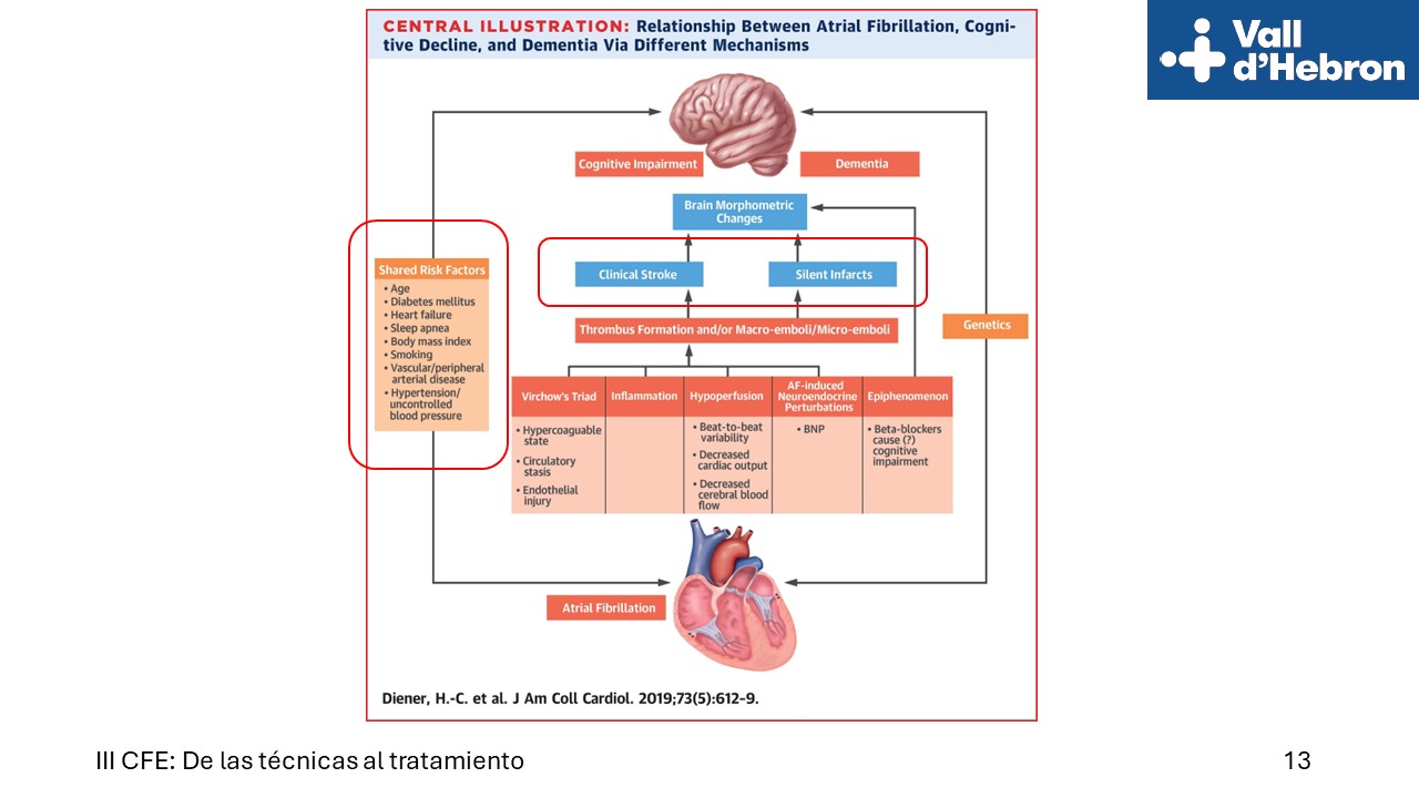 Diapositiva13
