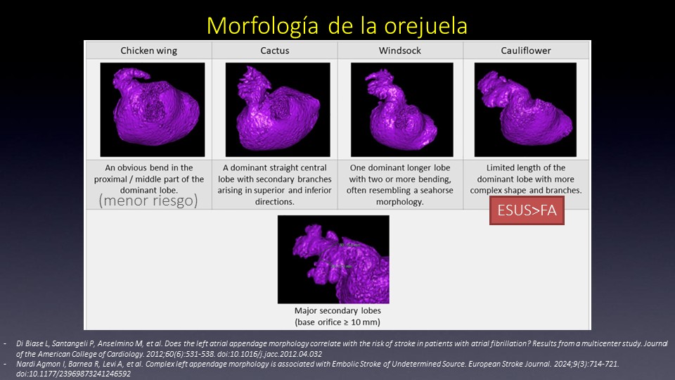 Diapositiva13
