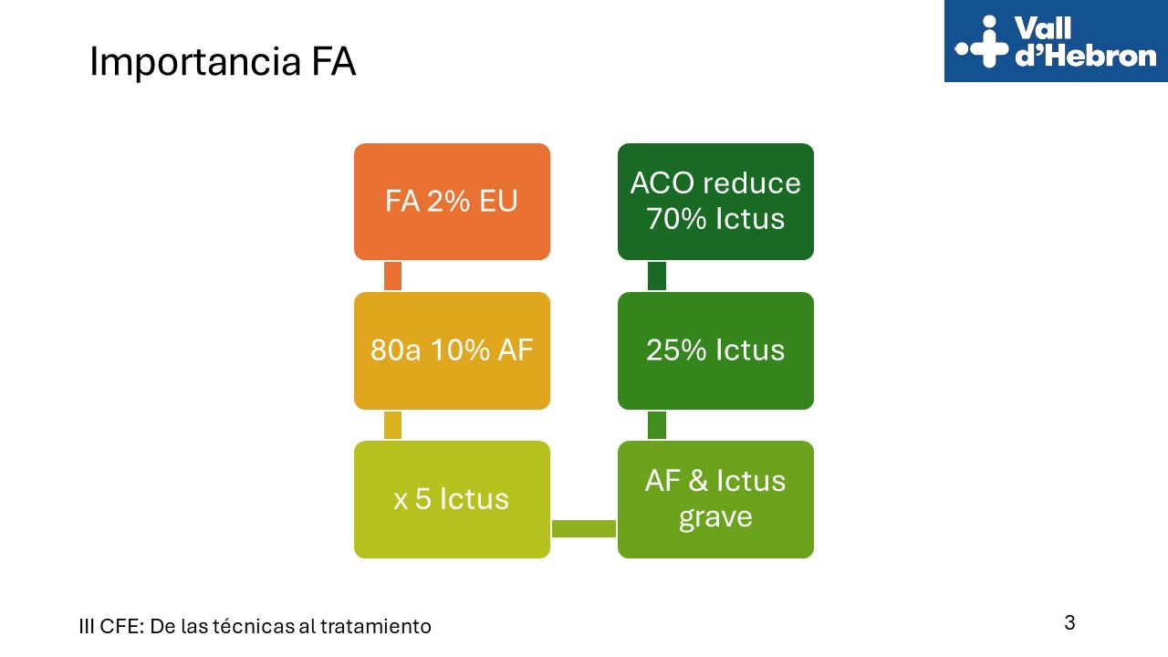 Diapositiva3