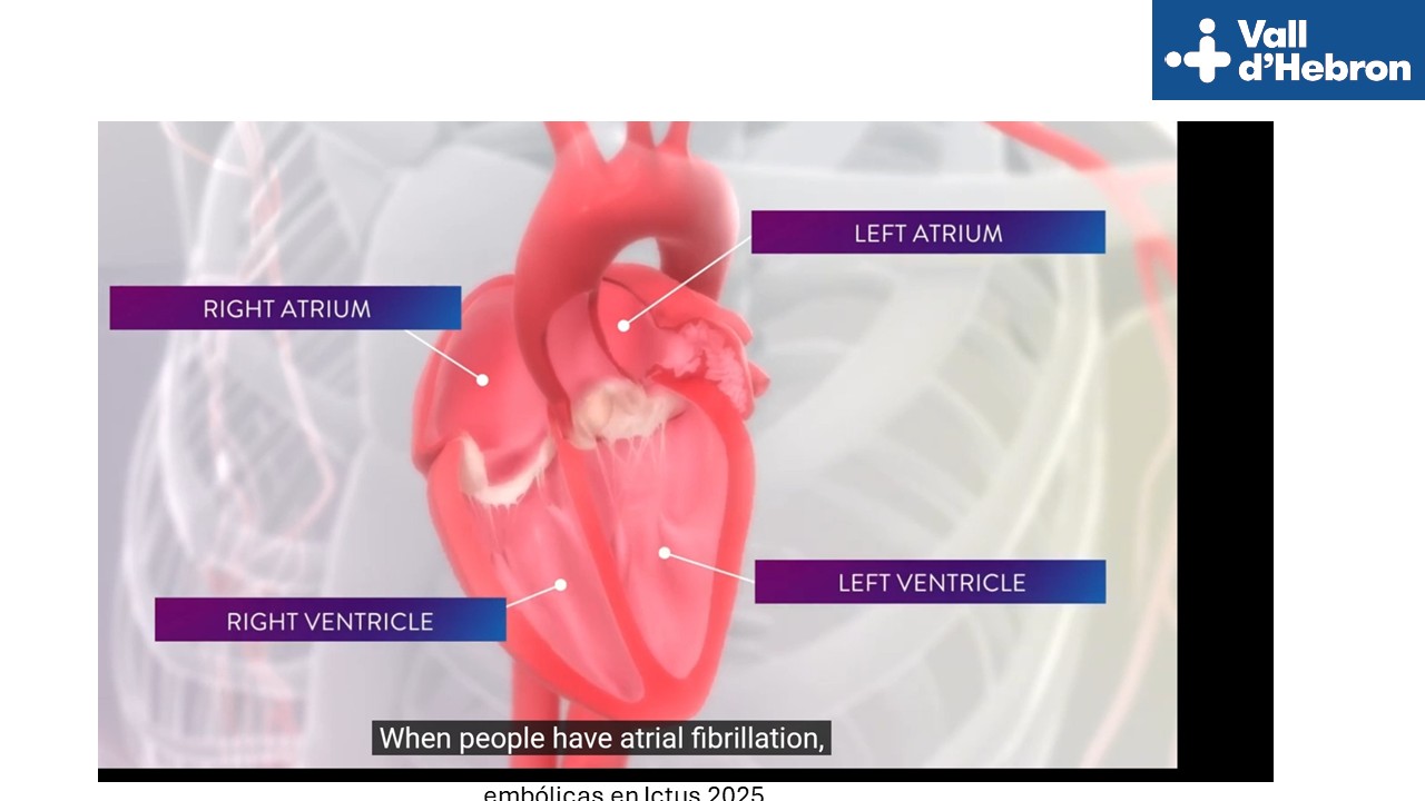 Diapositiva6