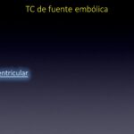 Diapositiva8